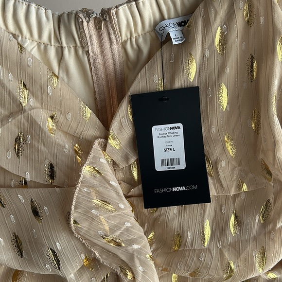 Always Chasing Ruched Mini Dress - Picture 7 of 7